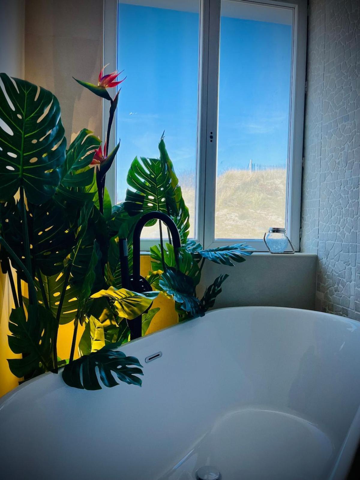 Appartement La Balinaise, Vue Et Dunes - Malo'cation *
