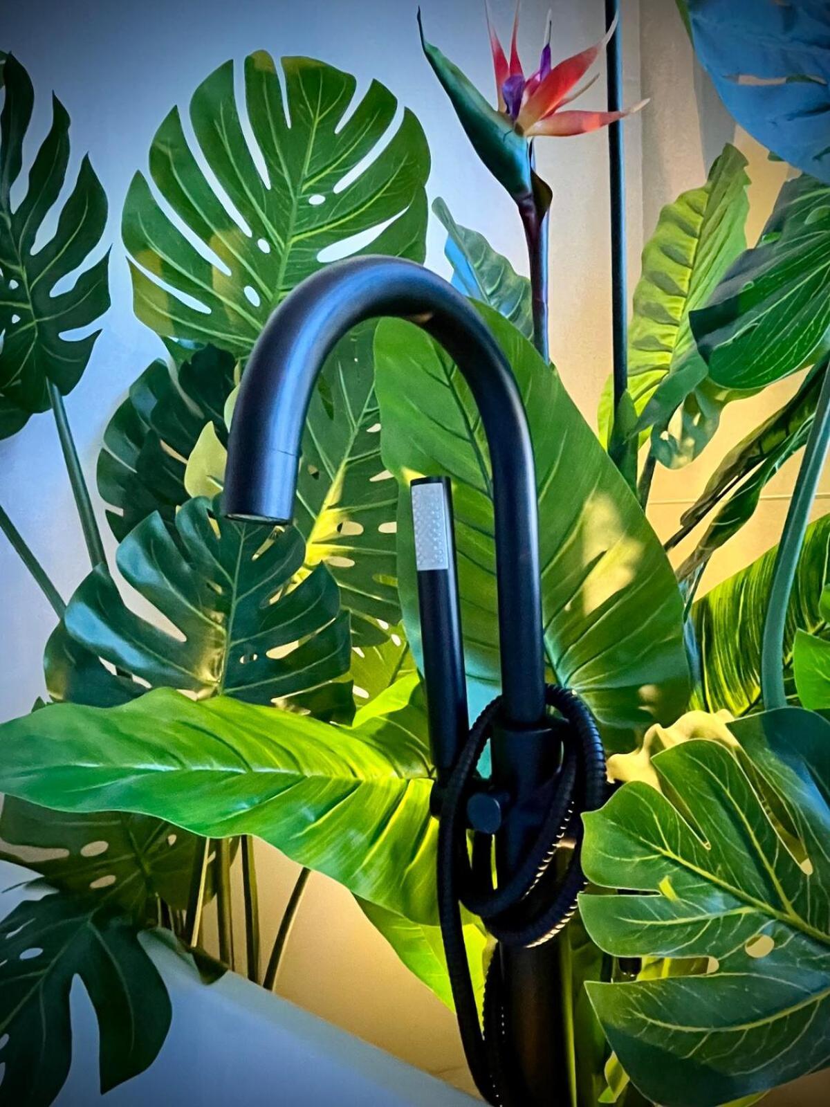 Appartement La Balinaise, Vue Et Dunes - Malo'cation